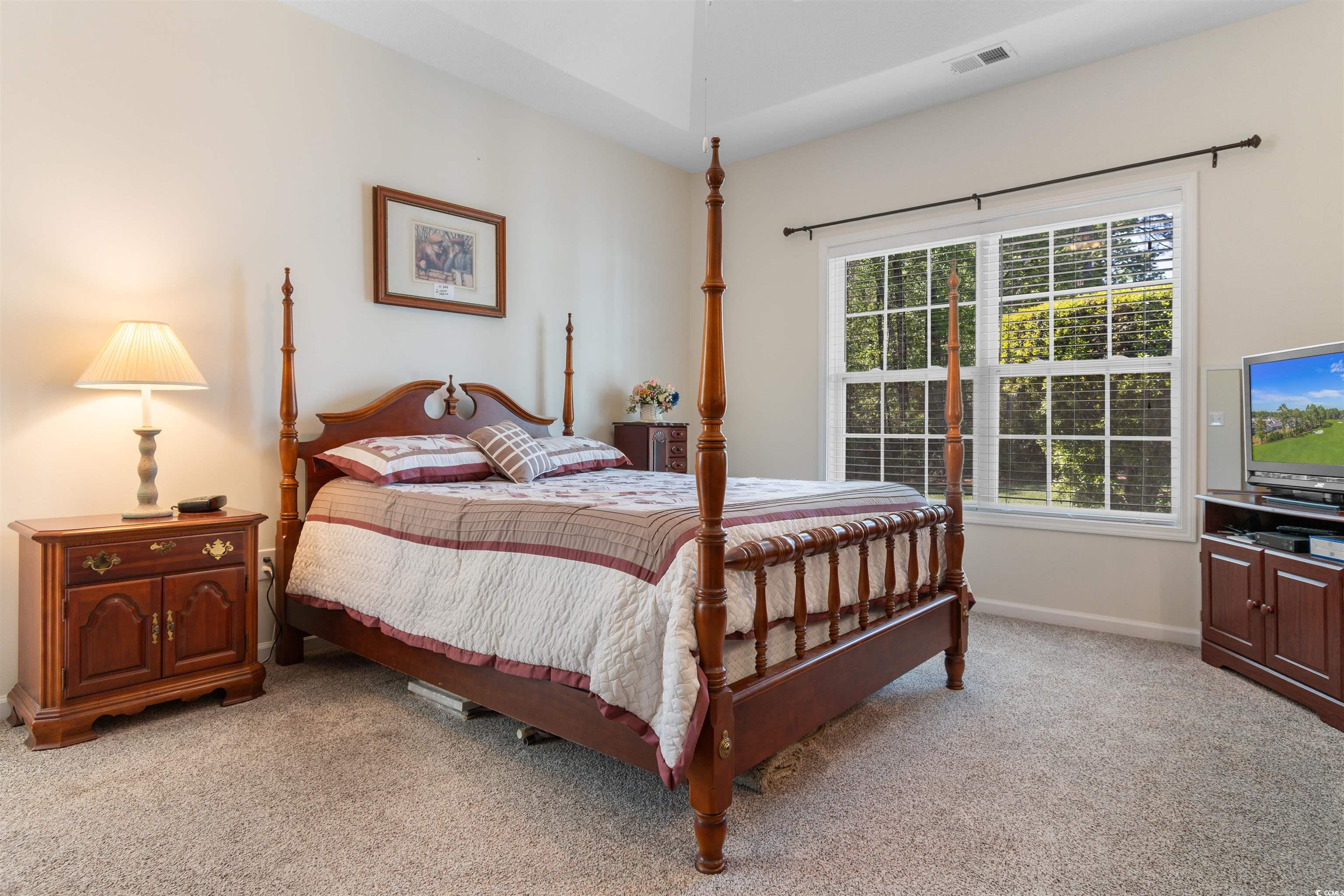 1000 Red Sky Lane, Unit 101 Murrells Inlet, SC 29576 - Photo 11 of 40 Bedroom featuring light carpet, baseboards, and vi