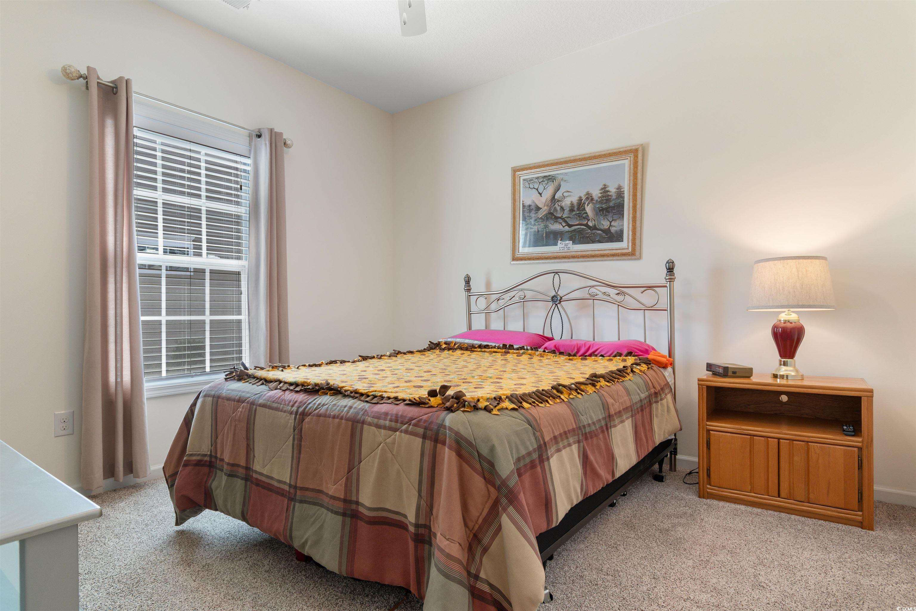 1000 Red Sky Lane, Unit 101 Murrells Inlet, SC 29576 - Photo 17 of 40 Bedroom featuring light colored carpet, baseboards