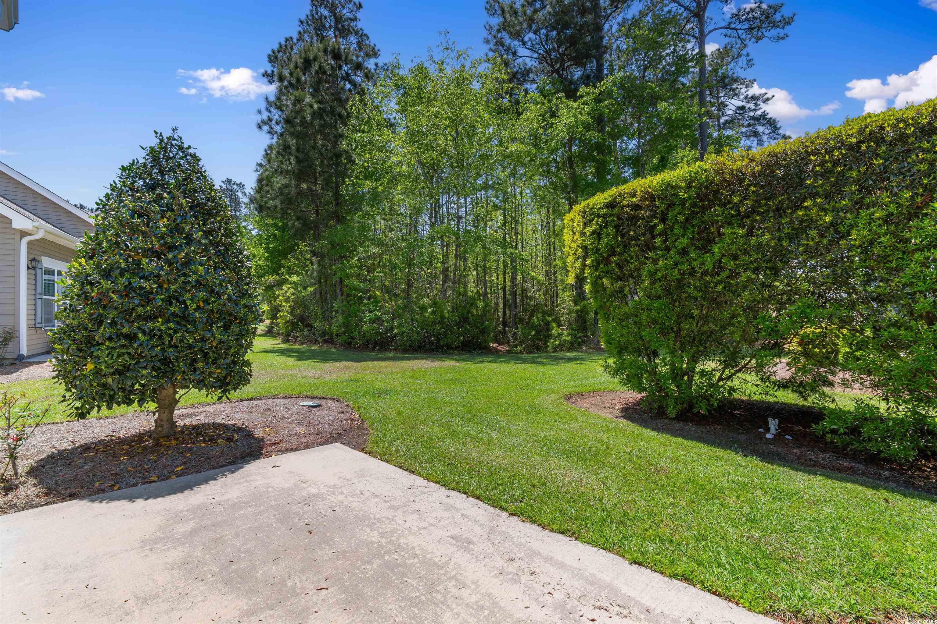 1000 Red Sky Lane, Unit 101 Murrells Inlet, SC 29576 - Photo 25 of 40 View of yard with a patio