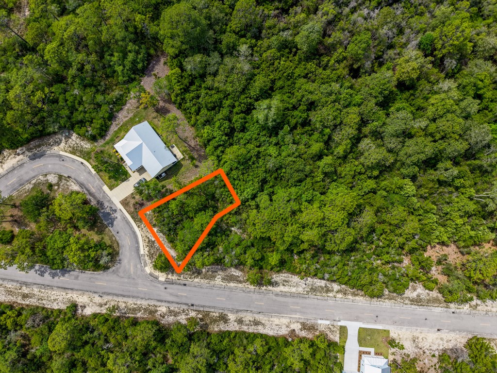 137 Anhinga Court Carrabelle, FL 32322 - Photo 3 of 13