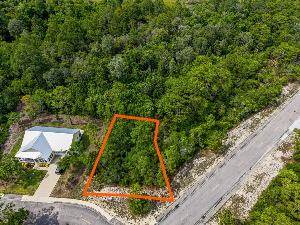 137 Anhinga Court Carrabelle, FL 32322 - Photo 5 of 13