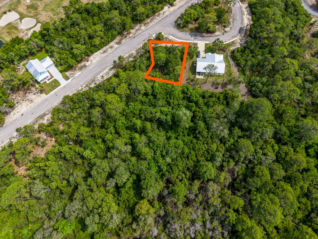137 Anhinga Court Carrabelle, FL 32322 - Photo 6 of 13