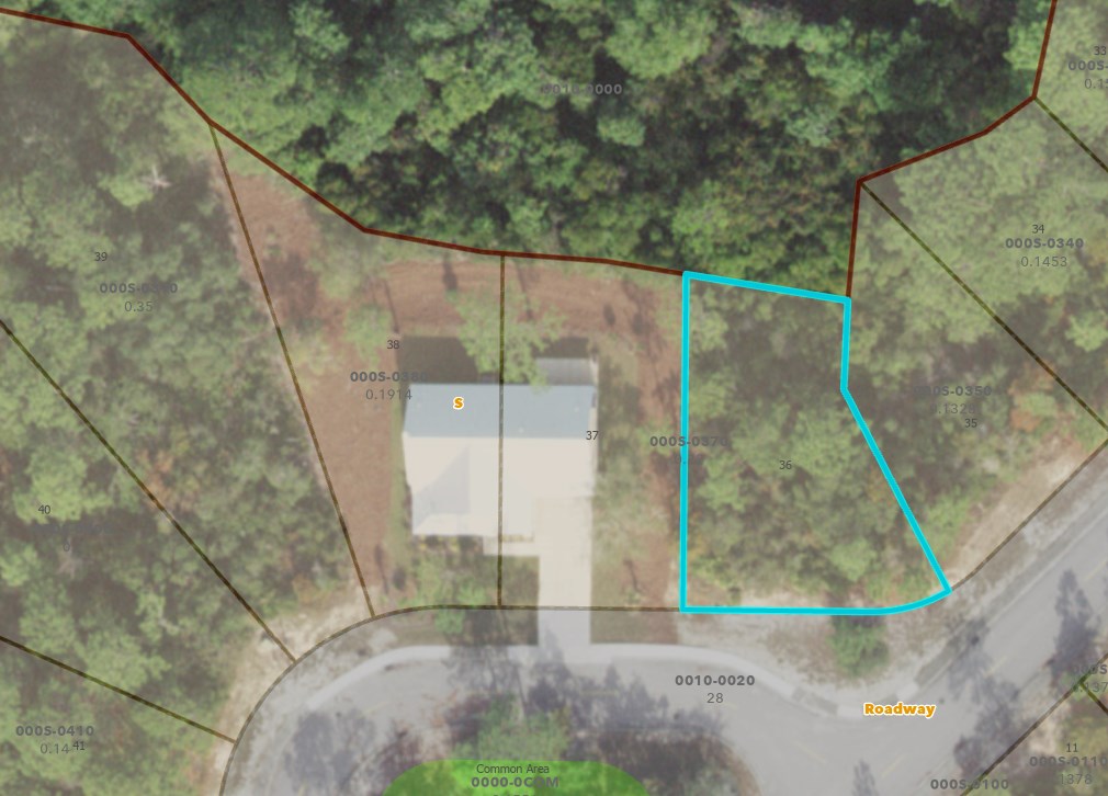 137 Anhinga Court Carrabelle, FL 32322 - Photo 8 of 13