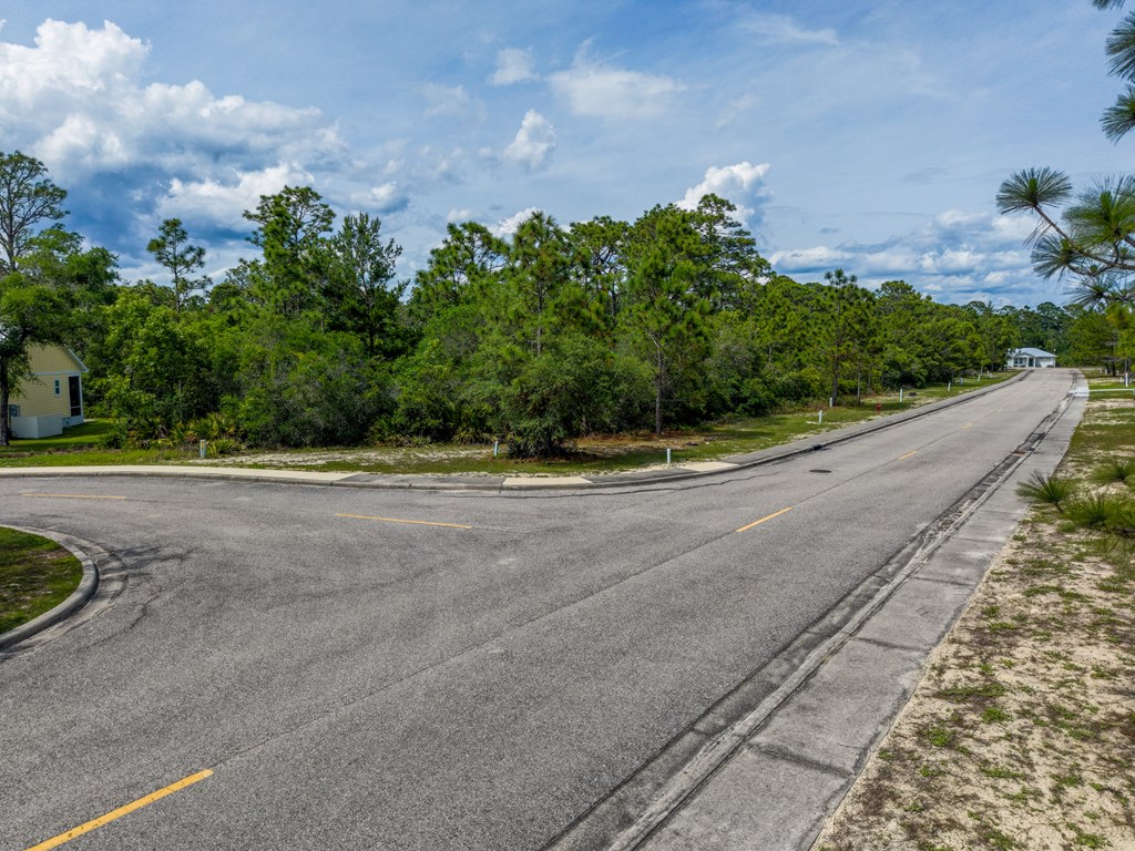 137 Anhinga Court Carrabelle, FL 32322 - Photo 9 of 13