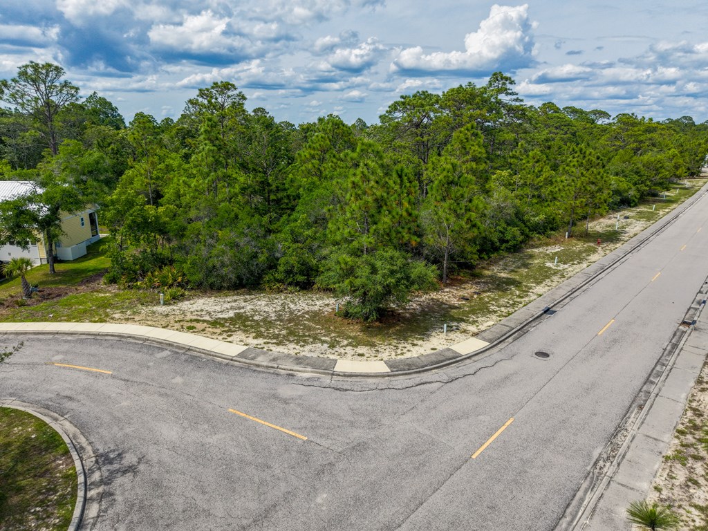 137 Anhinga Court Carrabelle, FL 32322 - Photo 10 of 13