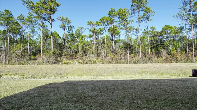 $514,900 | 15 Nellie Preserve Lane, Santa Rosa Beach, FL 32459