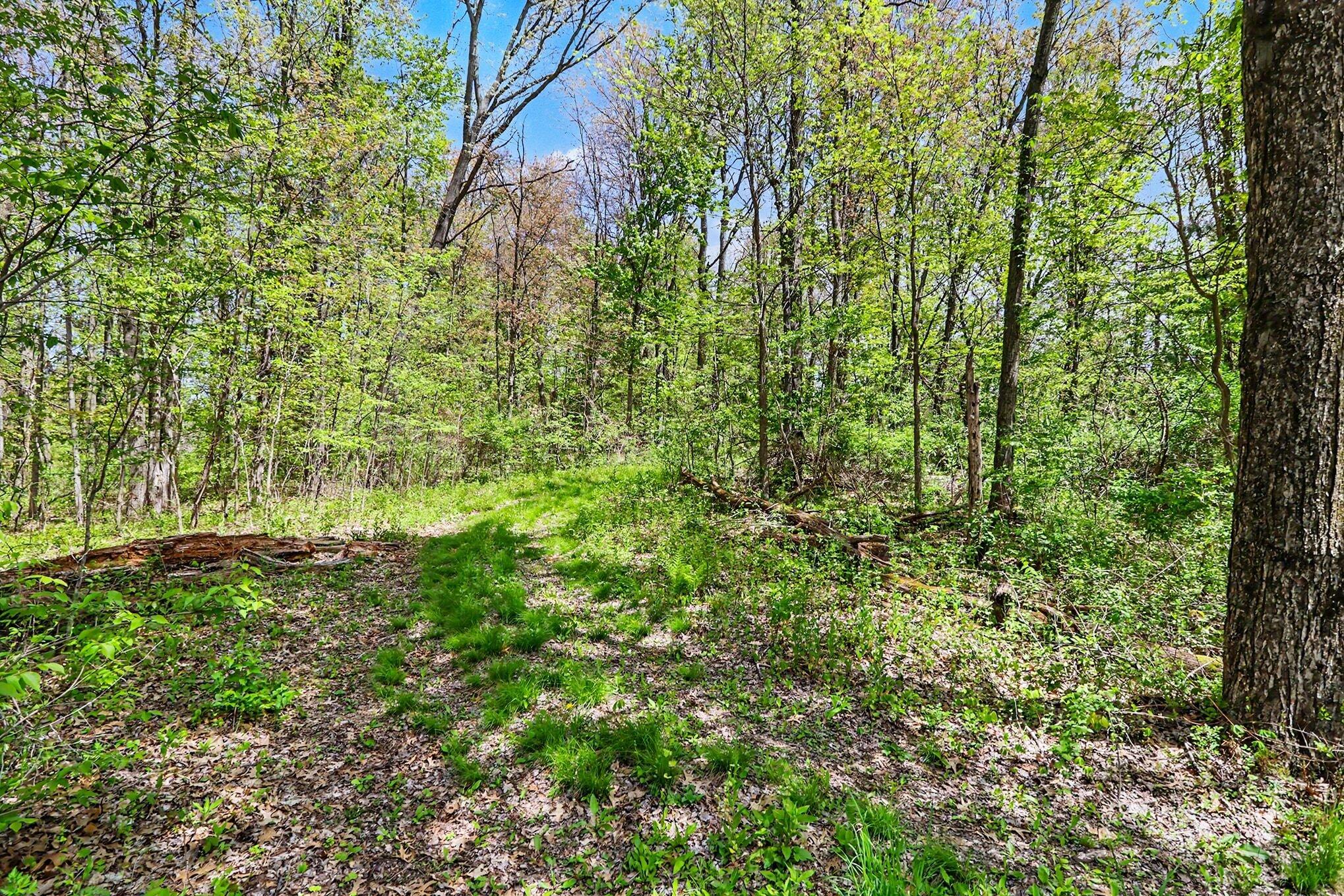 North Uldriks Road Battle Creek, MI 49037 - Photo 1 of 13 001_file_9891