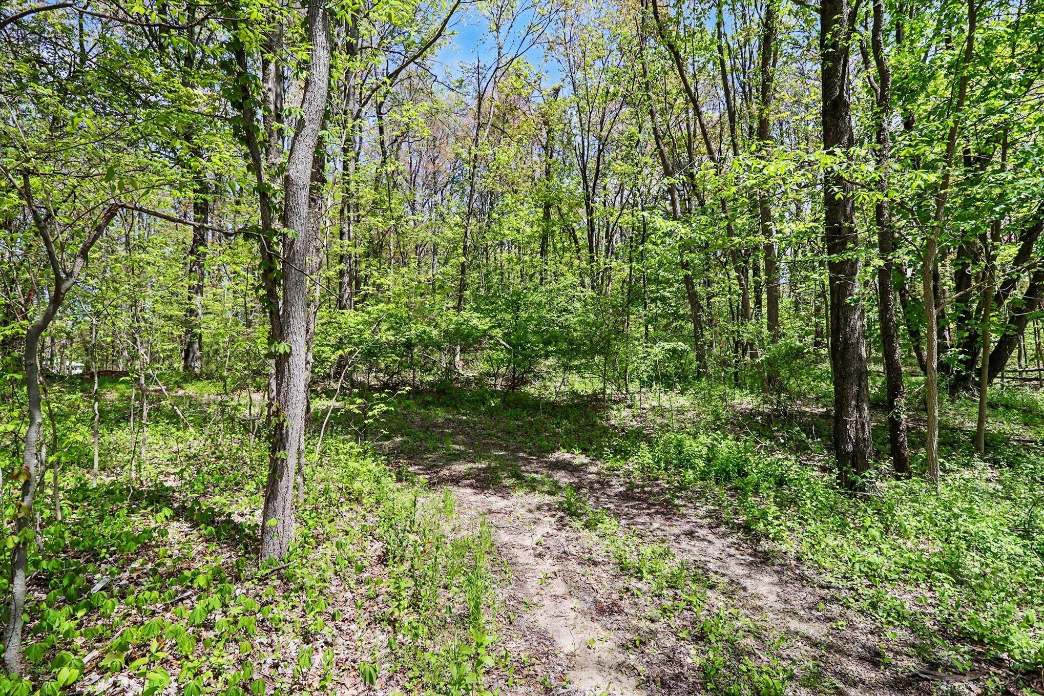 North Uldriks Road Battle Creek, MI 49037 - Photo 2 of 13 002_file_4558