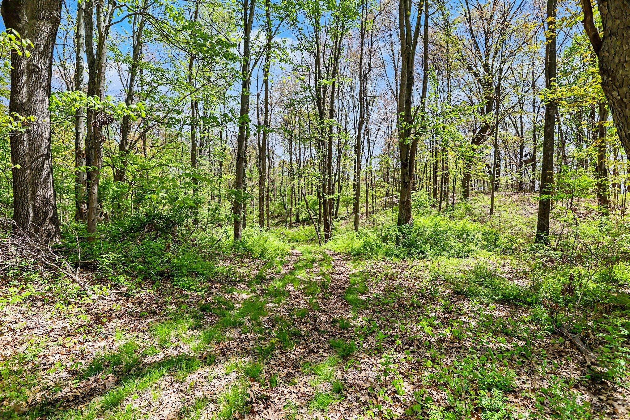 North Uldriks Road Battle Creek, MI 49037 - Photo 3 of 13 003_file_7032