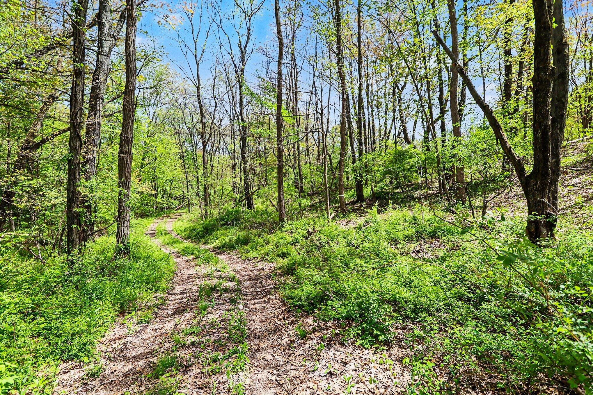 North Uldriks Road Battle Creek, MI 49037 - Photo 5 of 13 005_file_5813