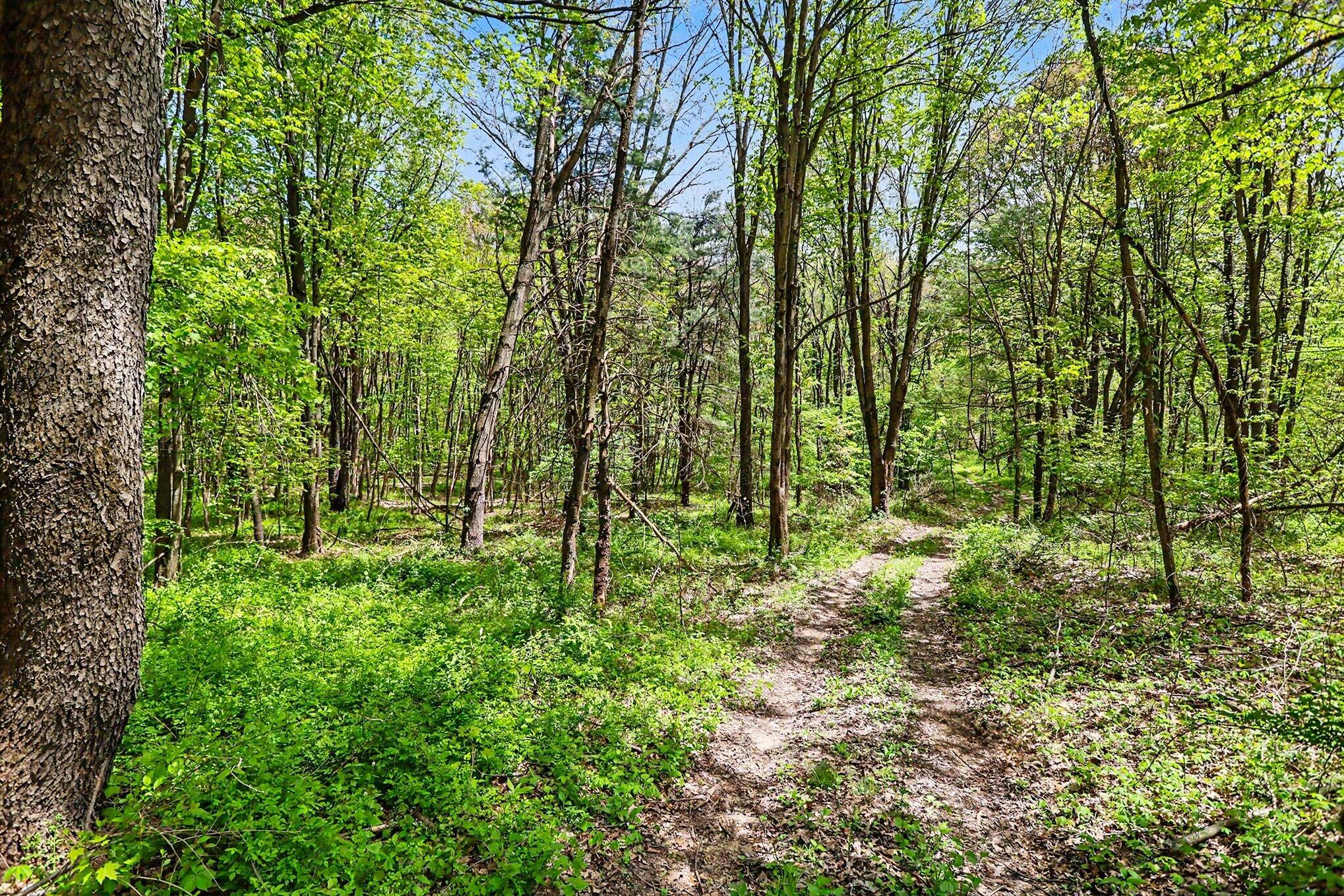 North Uldriks Road Battle Creek, MI 49037 - Photo 7 of 13 007_file_1640