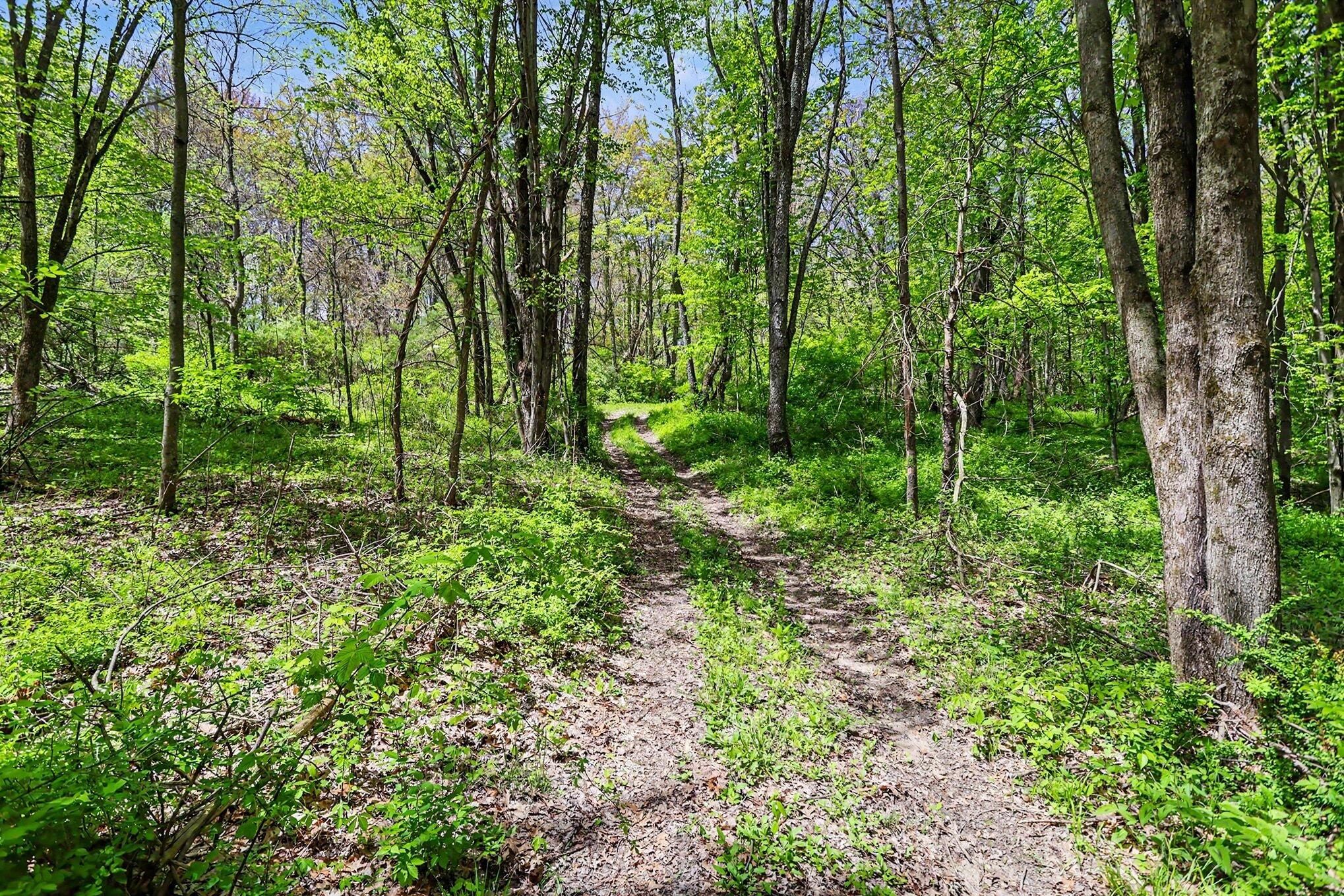 North Uldriks Road Battle Creek, MI 49037 - Photo 8 of 13 008_file_5829