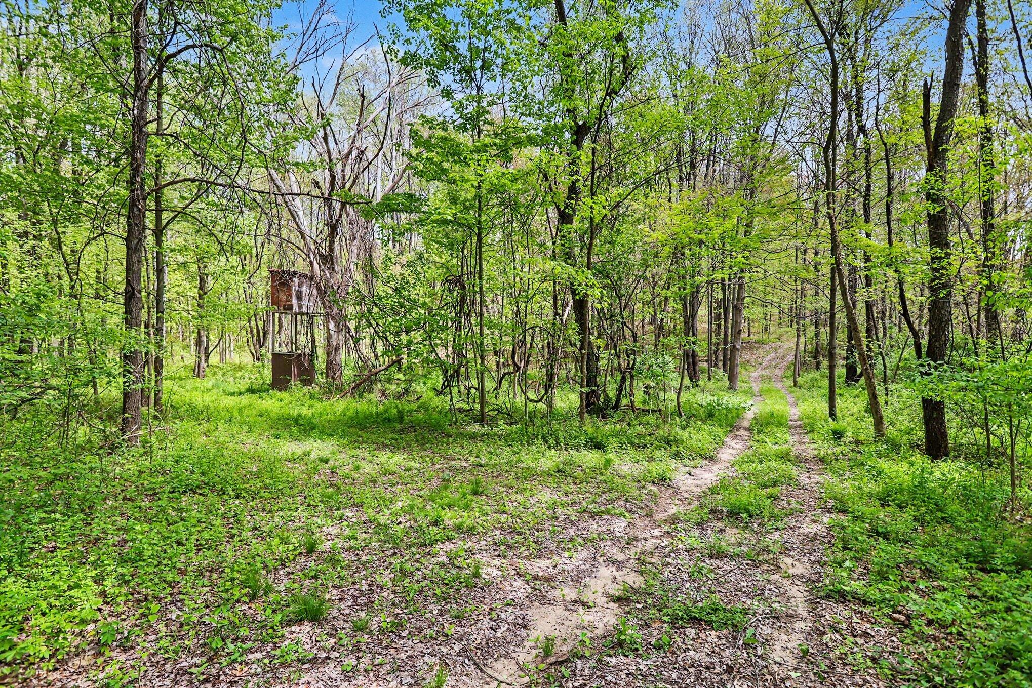 North Uldriks Road Battle Creek, MI 49037 - Photo 9 of 13 009_file_2785