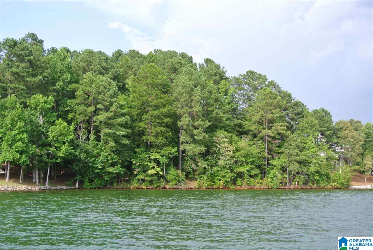 Hummingbird Drive, Unit 26 Wedowee, AL 36278 - Photo 1 of 10