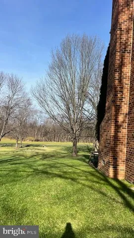 a view of a grassy field with an trees