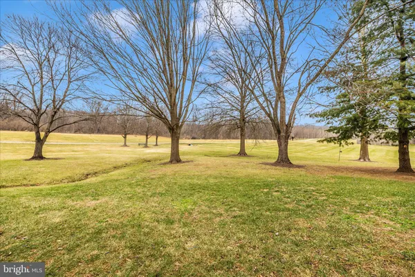 a view of yard with trees