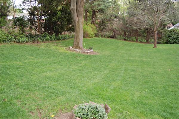 52 Grenwold Road Quincy, MA 02169 - Photo 29 of 30 Gallery Image 29