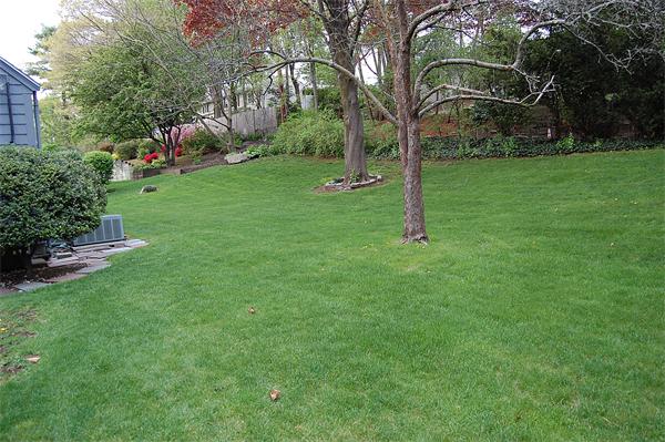 52 Grenwold Road Quincy, MA 02169 - Photo 30 of 30 Gallery Image 30