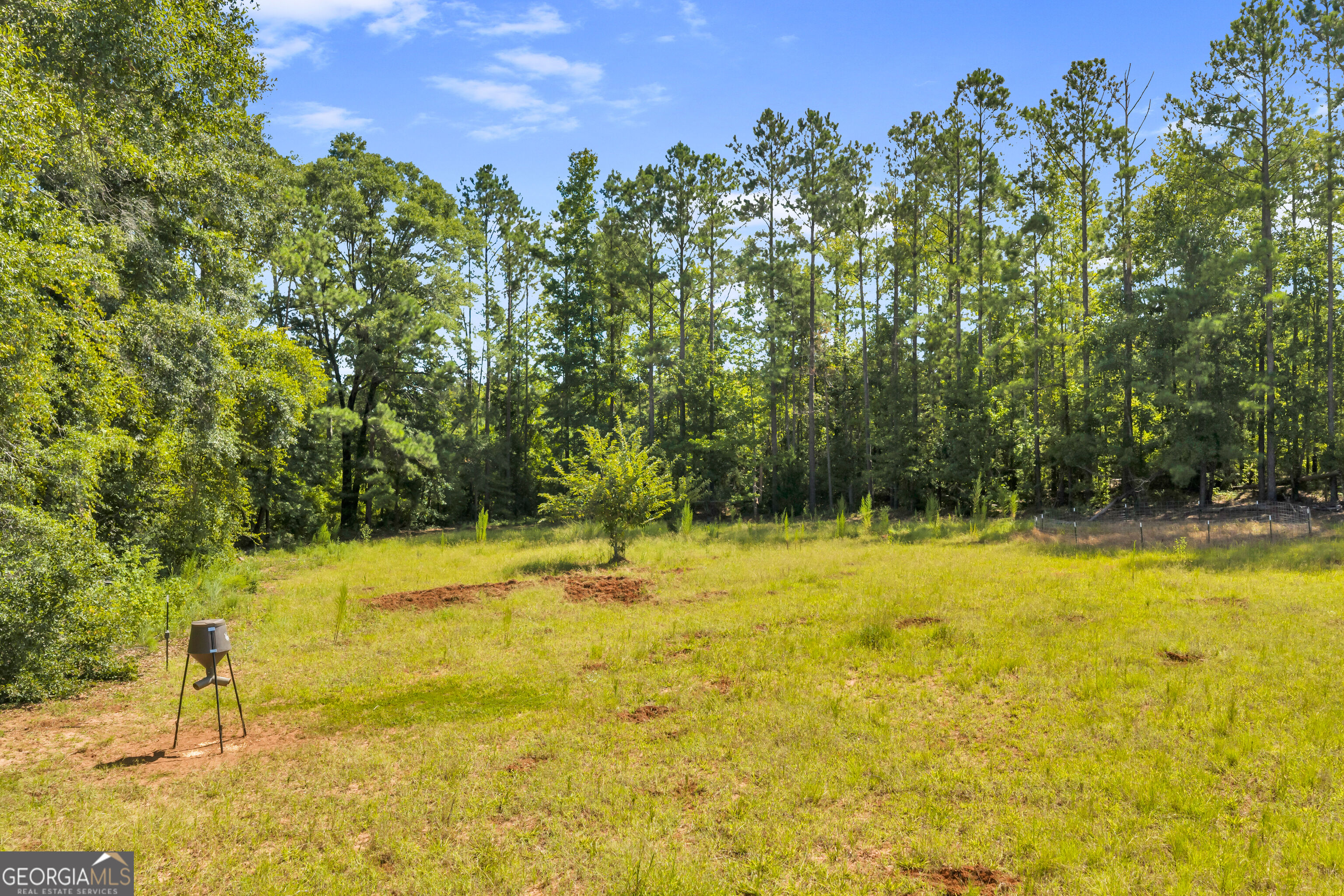 100 Bussey Place Road Morris, GA 39867 - Photo 103 of 174 Gallery Image 103