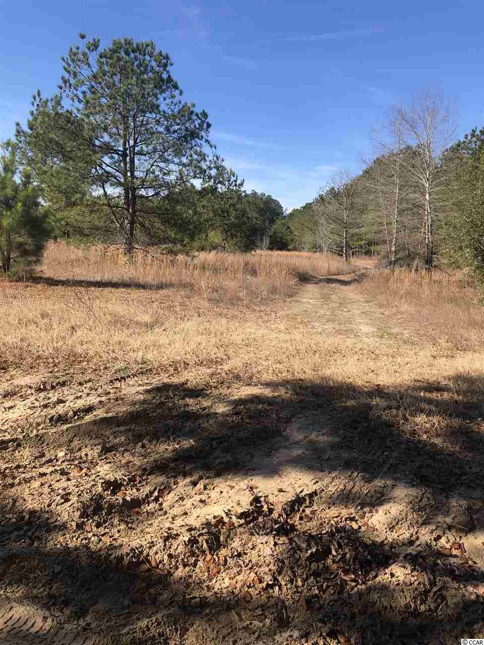 Tbd Harold Road Nichols, SC 29581 - Photo 2 of 9 Gallery Image 2