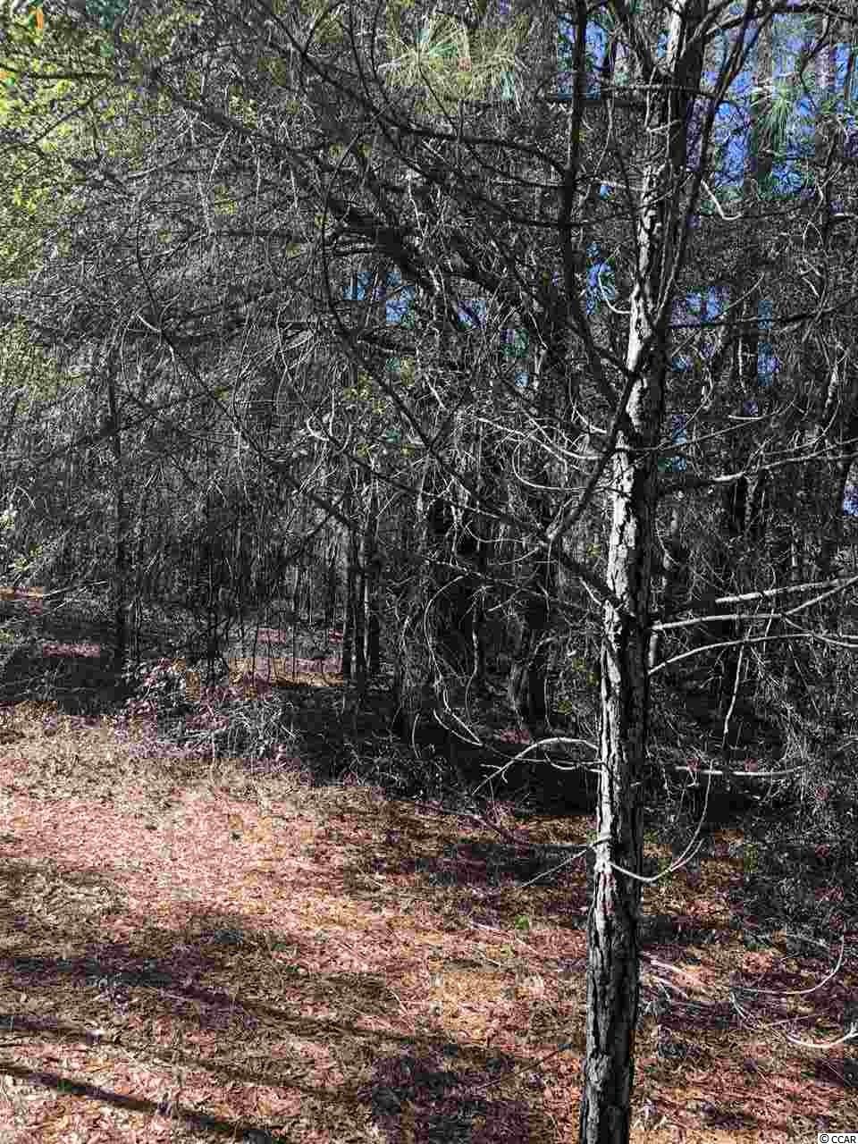 Tbd Harold Road Nichols, SC 29581 - Photo 7 of 9 Gallery Image 7