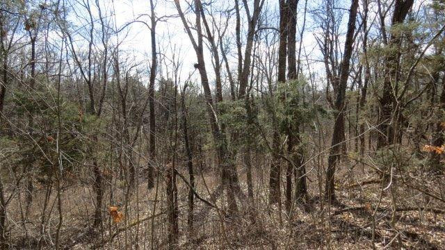 1 Baxter Ridge Road Lawrenceburg, KY 40342 - Photo 8 of 13 Photo 8