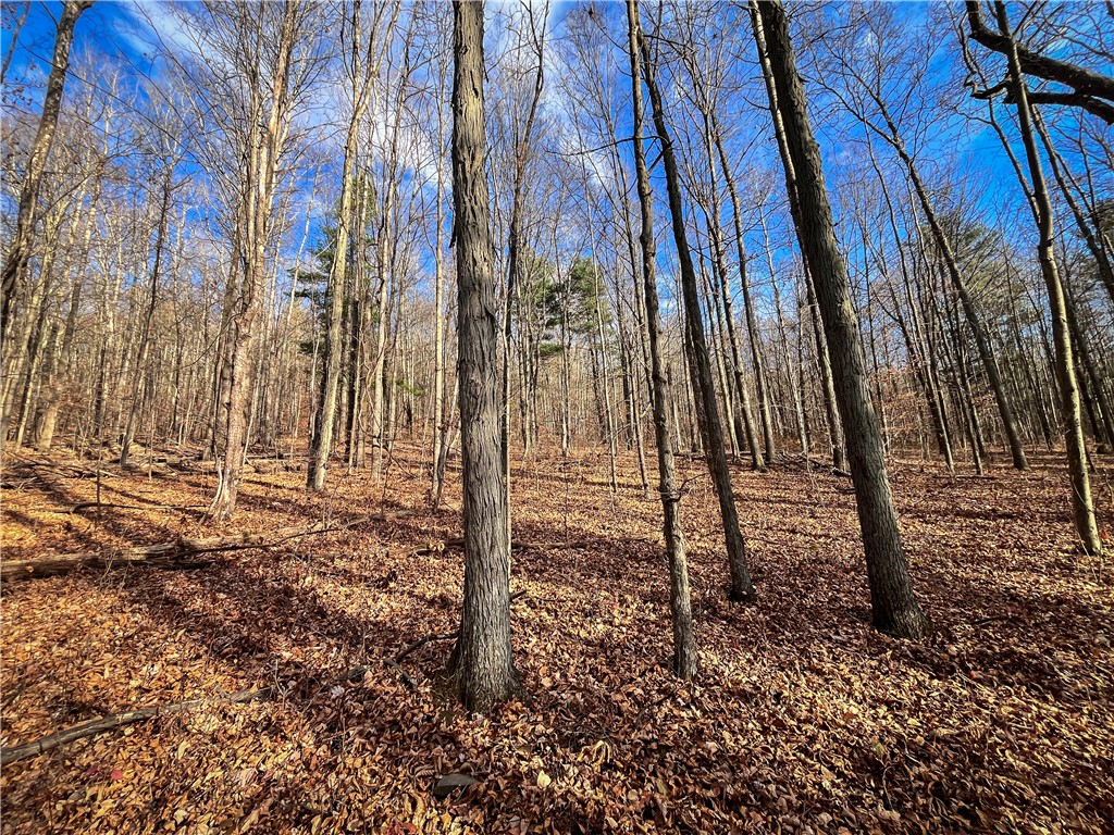 1188 Braybrook Road Chemung, NY 14861 - Photo 22 of 45
