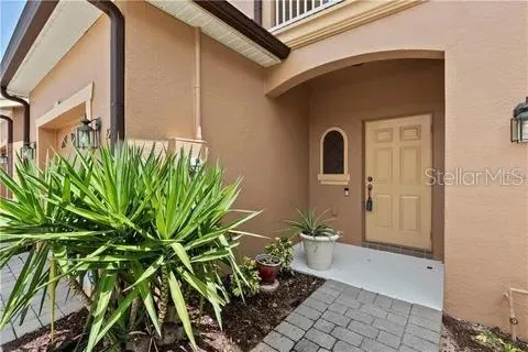 a potted plant sitting in front of a door