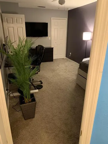 a living room with furniture and a potted plant