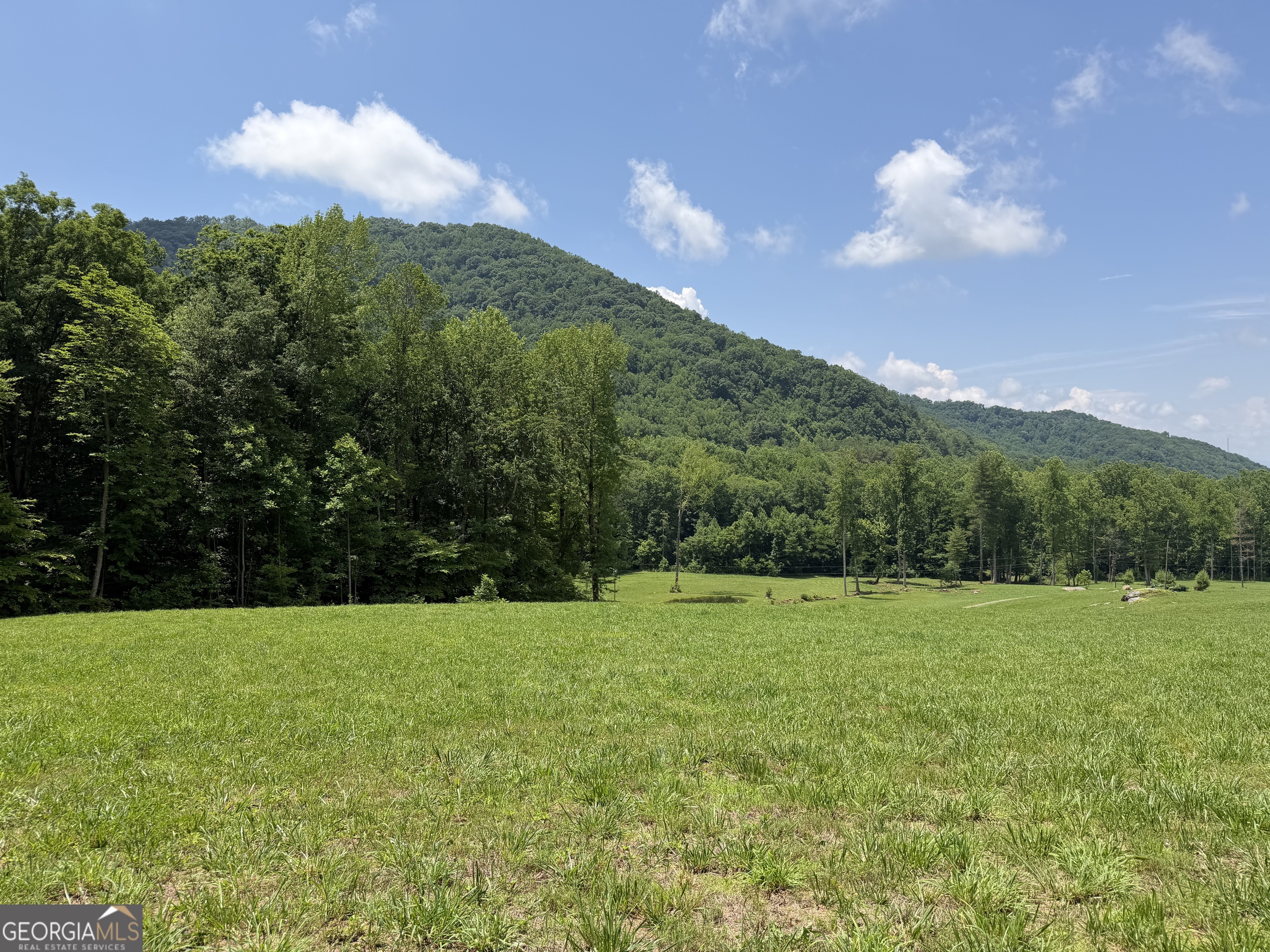 1449 Muskrat Creek Road Hayesville, NC 28904 - Photo 75 of 95