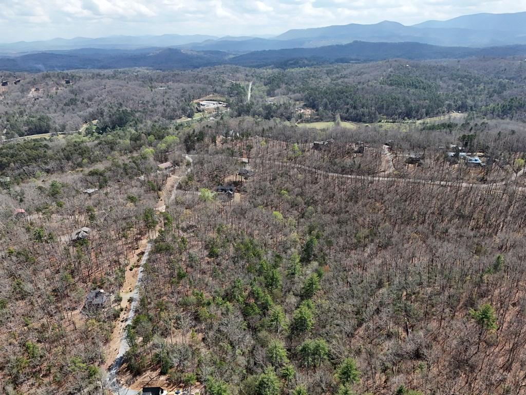 Lot 117 Laurel Trace Blue Ridge, GA 30513 - Photo 17 of 20 Gallery Image 17