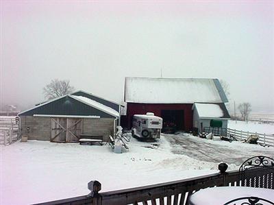 972 Long Road Sand Lake, MI 49343 - Photo 3 of 6 Additional Photo