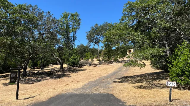 a view of a park with trees