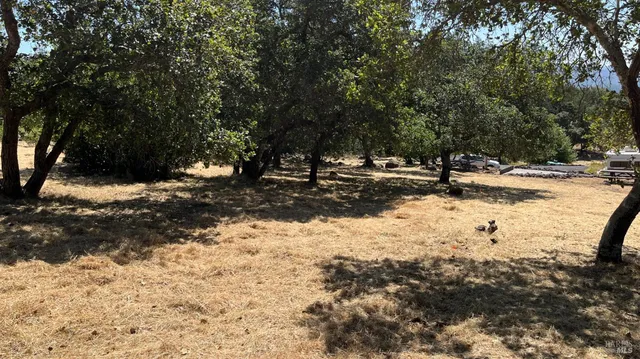 a view of a snow on the side of the road