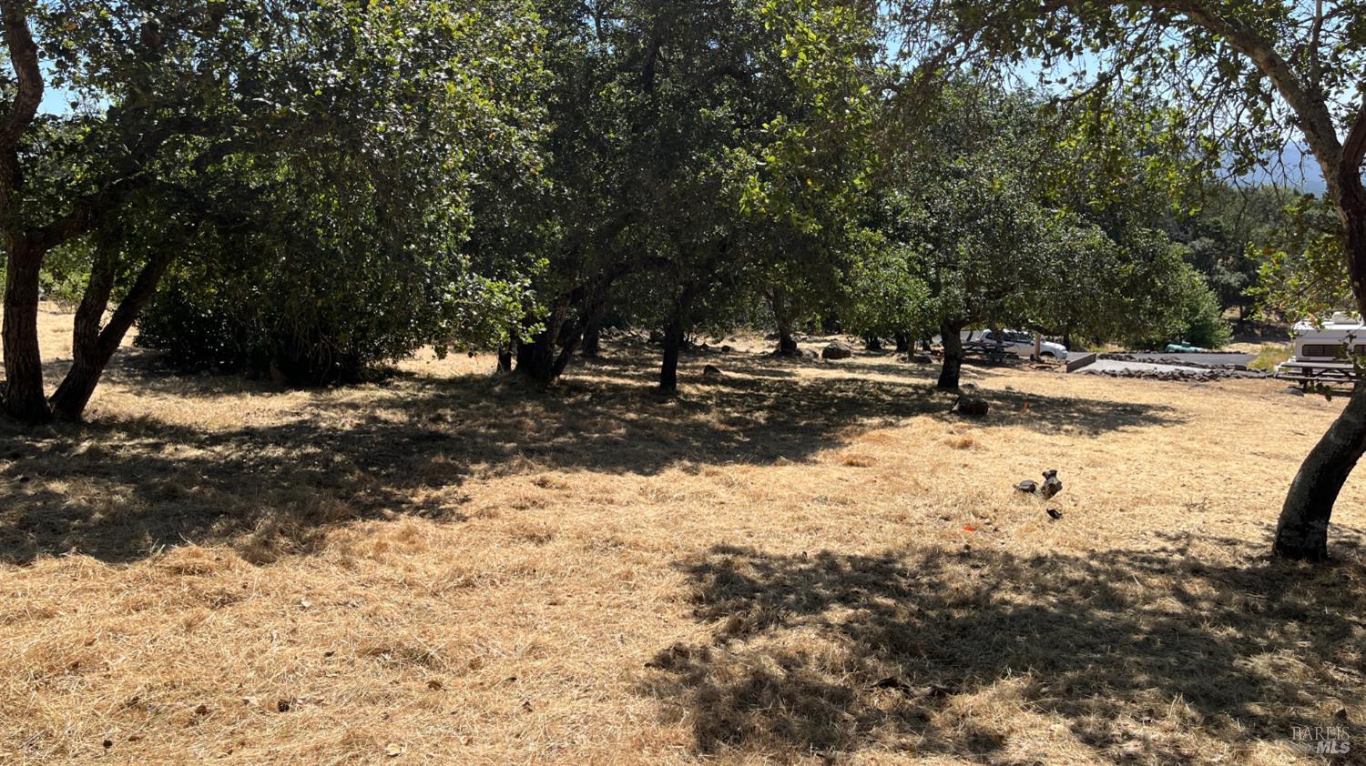 2730 Bennett Ridge Road Santa Rosa, CA 95404 - Photo 5 of 8