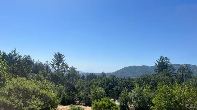 a view of a mountain range with trees in the background