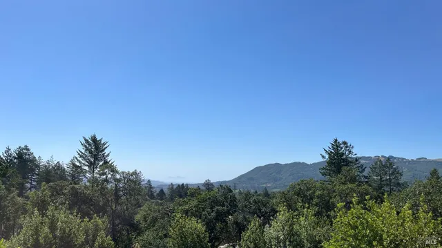 a view of a large tree with a mountain in the background