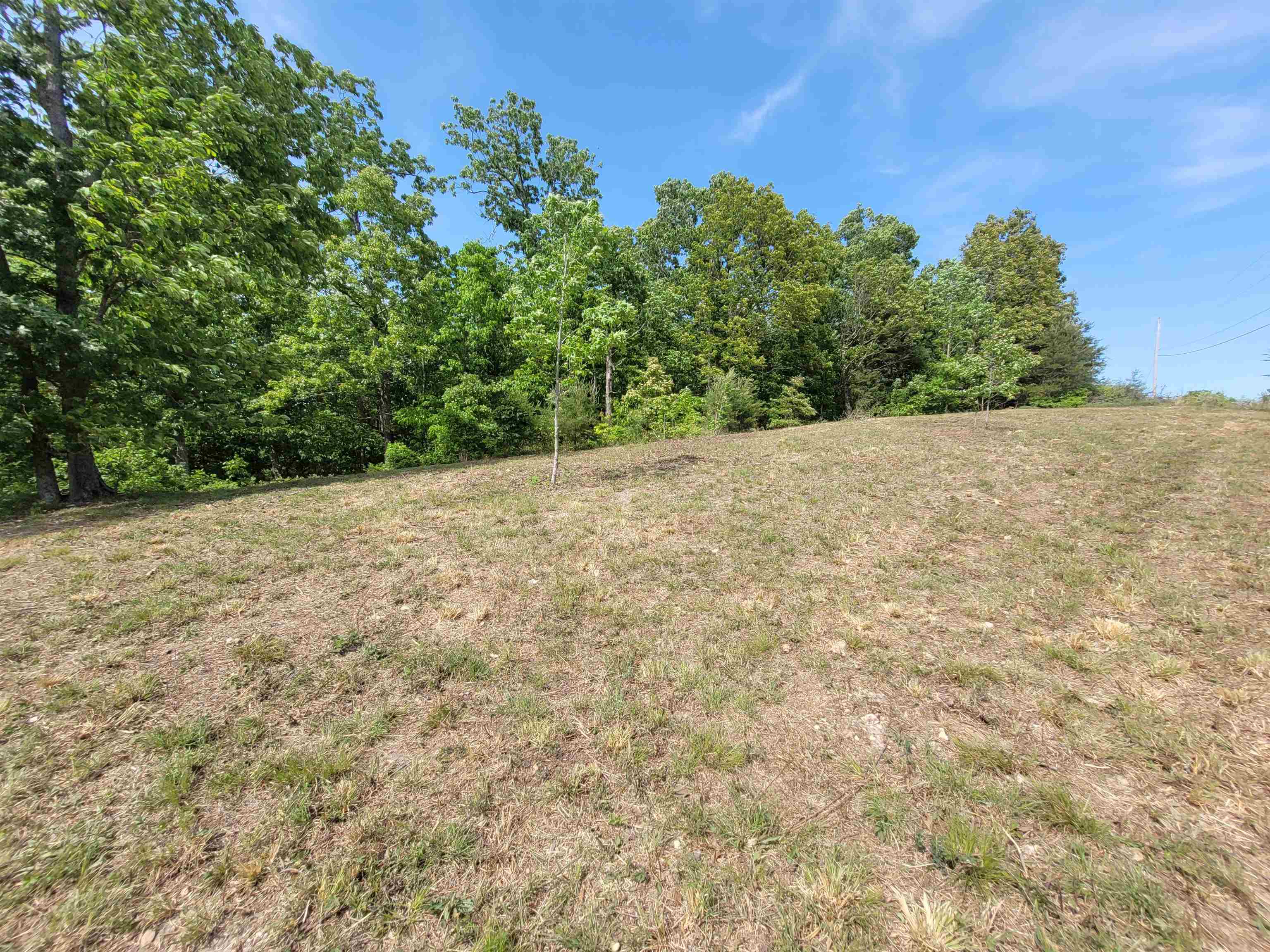 1 Turtle Point Lane Waverly, TN 37185 - Photo 1 of 17 a view of a yard with a tree