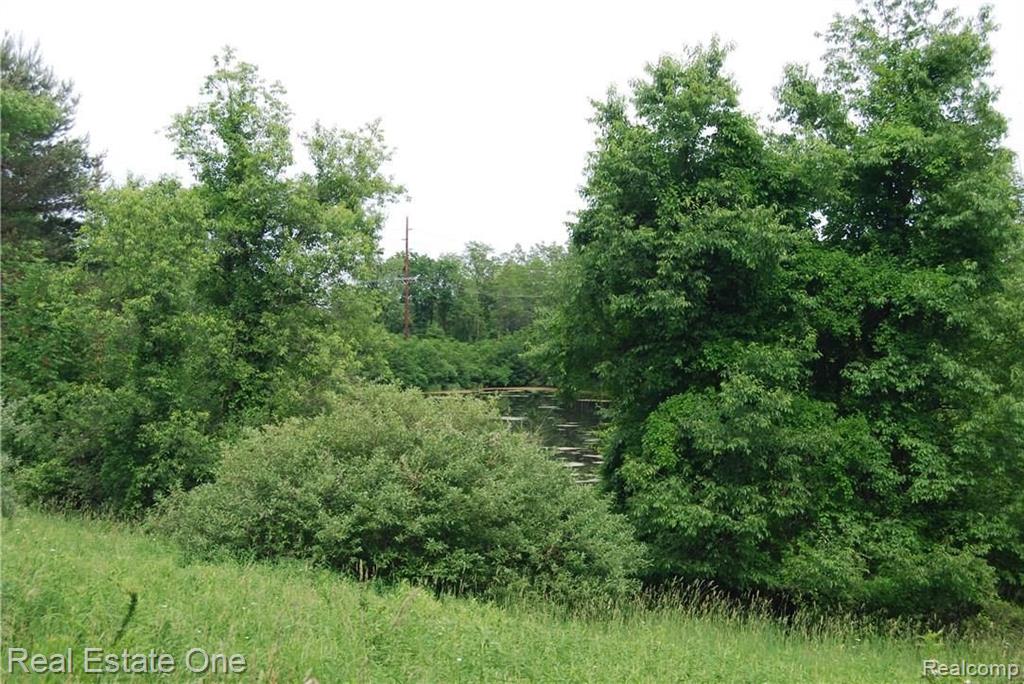 V/l Perry Lake Road Ortonville, MI 48462 - Photo 9 of 30 Gallery Image 9
