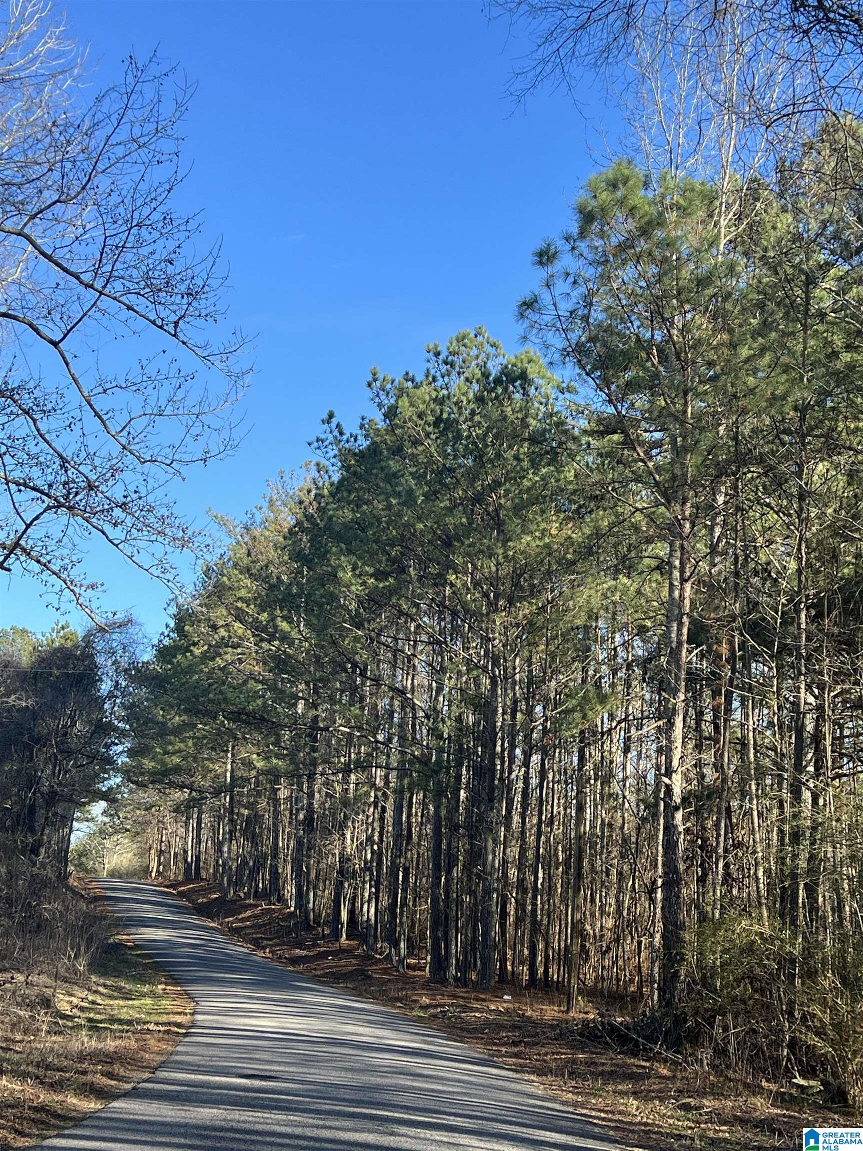 0 Altoona Cutoff Road, Unit 47 5 Oneonta, AL 35121 - Photo 20 of 36