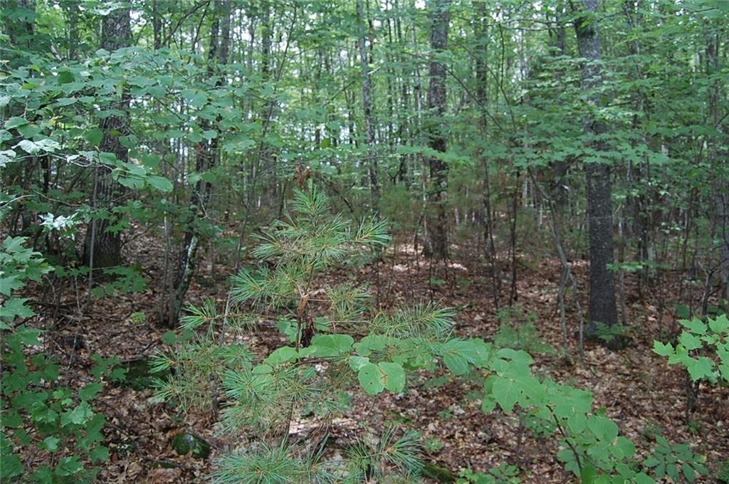 Tbd Sanborn Road West Newfield, ME 04095 - Photo 1 of 4 Photo