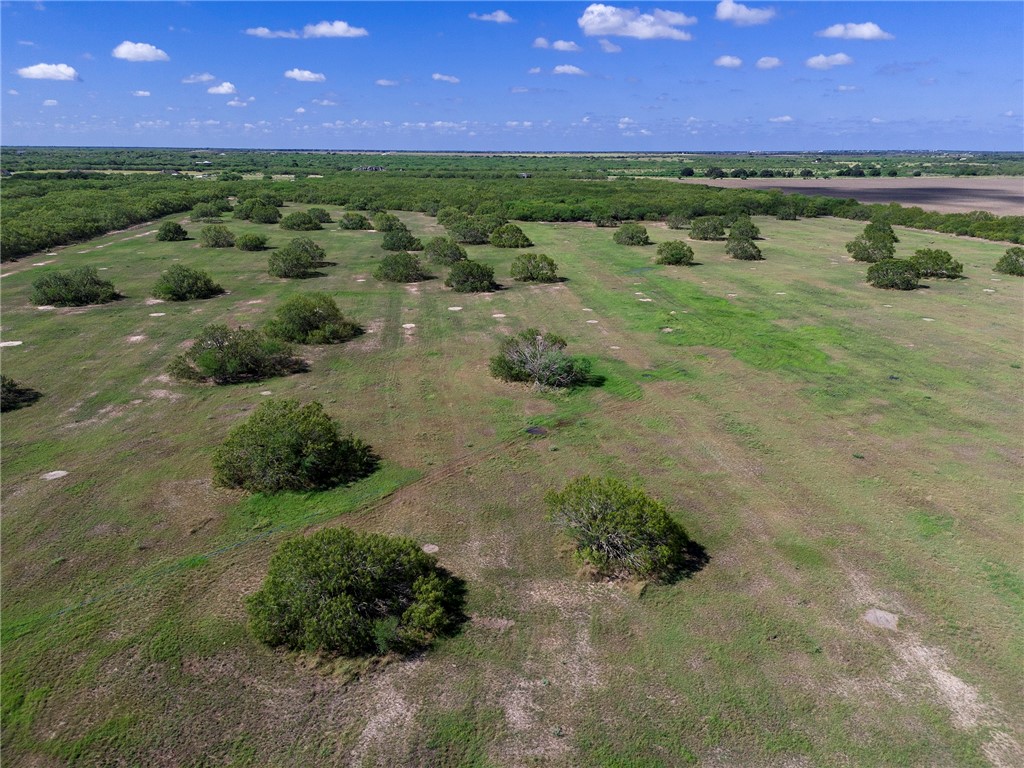0 Fm 70 Sandia, TX 78383 - Photo 17 of 30