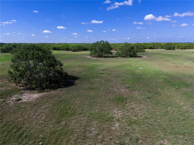 $772,500 | 0 Fm 70, Sandia, TX 78383