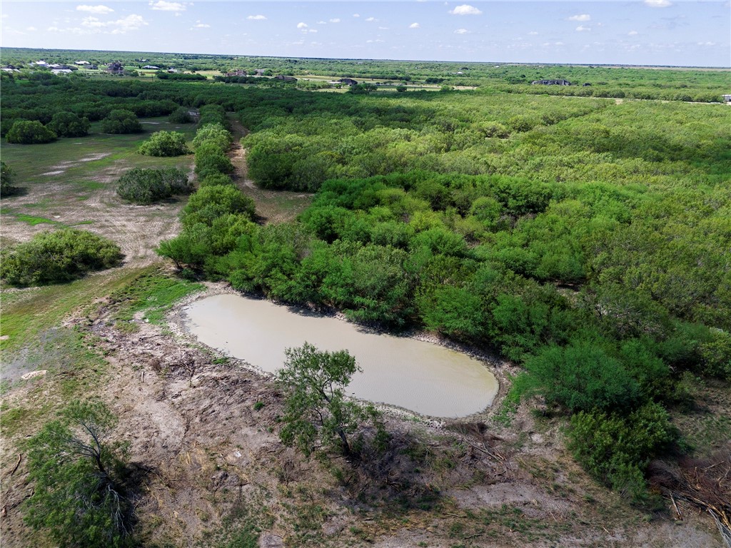 0 Fm 70 Sandia, TX 78383 - Photo 20 of 30