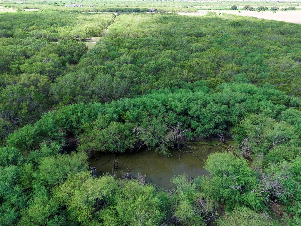 0 Fm 70 Sandia, TX 78383 - Photo 21 of 30