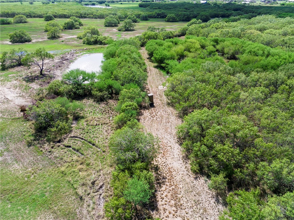 0 Fm 70 Sandia, TX 78383 - Photo 22 of 30