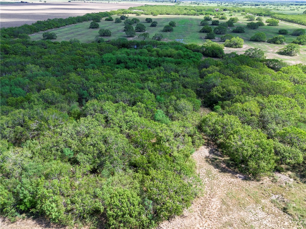 0 Fm 70 Sandia, TX 78383 - Photo 24 of 30
