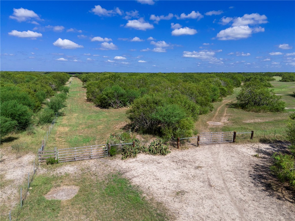 0 Fm 70 Sandia, TX 78383 - Photo 25 of 30