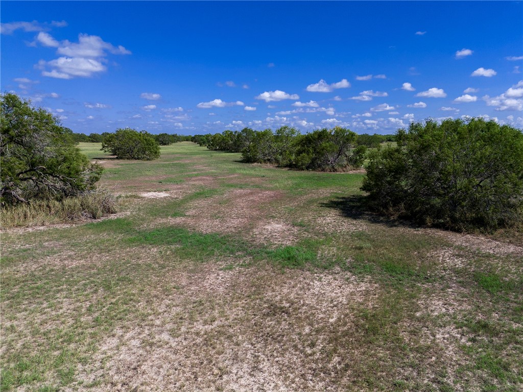 0 Fm 70 Sandia, TX 78383 - Photo 28 of 30