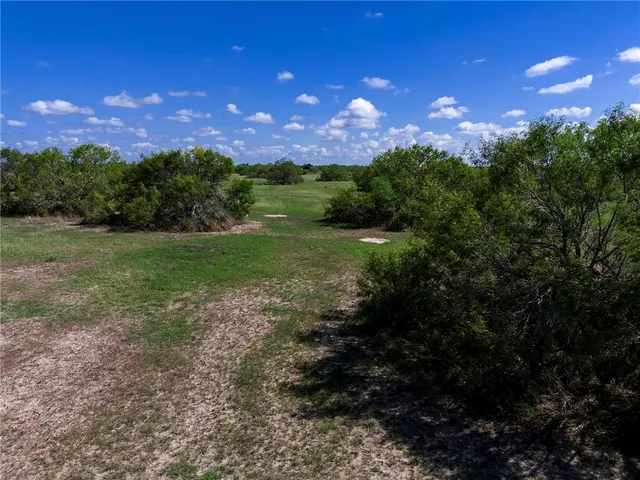 $772,500 | 0 Fm 70, Sandia, TX 78383